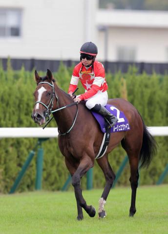 松山弘平コラム】エリザベス女王杯のコスタボニータは9着…勝った馬以外とはそんなに差はなかった = スポーツ -