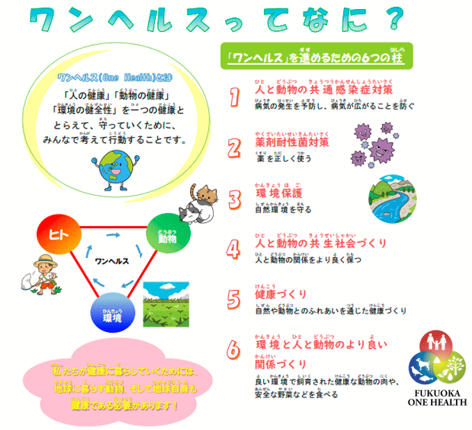 楽天市場】【ふるさと納税】森と触れ合いながら学べる！ワンヘルスコース 1名様体験チケット [a0413]