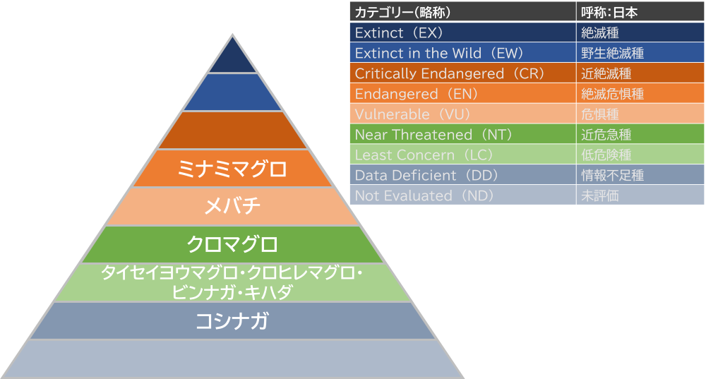 国産まぐろ100%チップ 30g - ペットフード・ペット用品の販売なら株式会社ペットプロジャパン