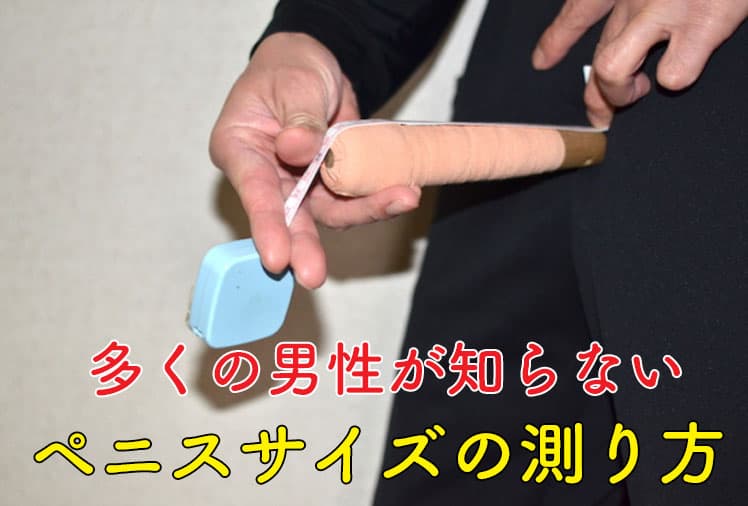 ペニスサイズを一発測定！トイレットペーパーチャレンジ！