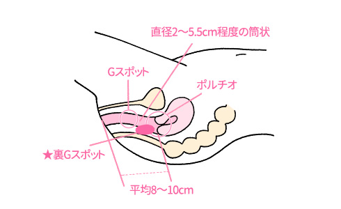 図解！画像解説】クリトリスの正しい触り方。女をイカせまくる手マンの達人が教えるクリトリスの愛撫方法