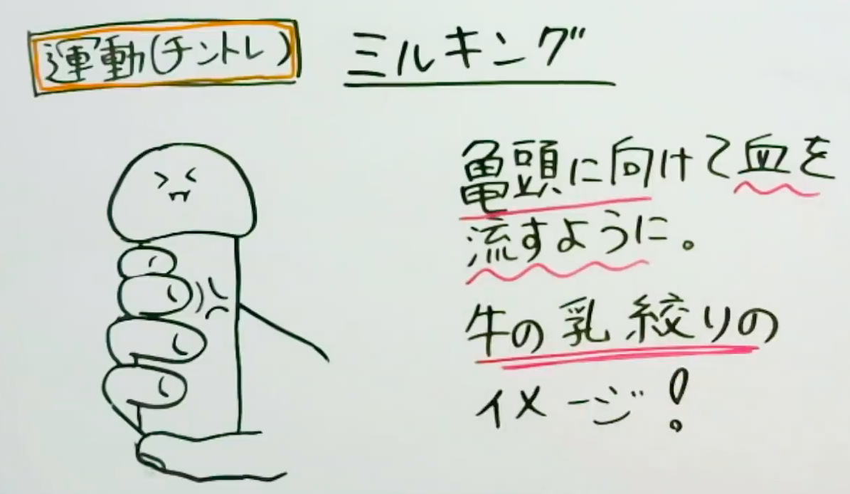 チントレの方法って？勃起力などを改善！- 夜の保健室