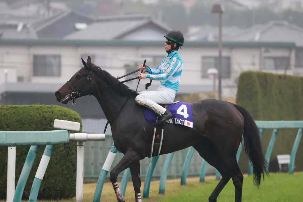 【競馬企画】エリザベス女王杯 松山アナの予想を上げるだけの動画です