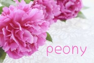 peony(ピオニー)のメンズエステ求人PICK UP！ -