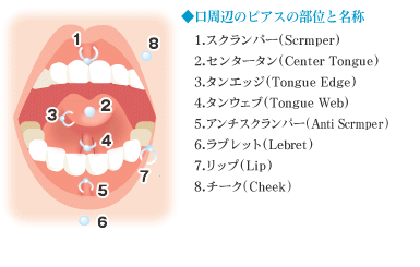 舌ピが斜めに入ってしまいました。舌ピ2日目です。裏の方は綺麗に - Yahoo!知恵袋