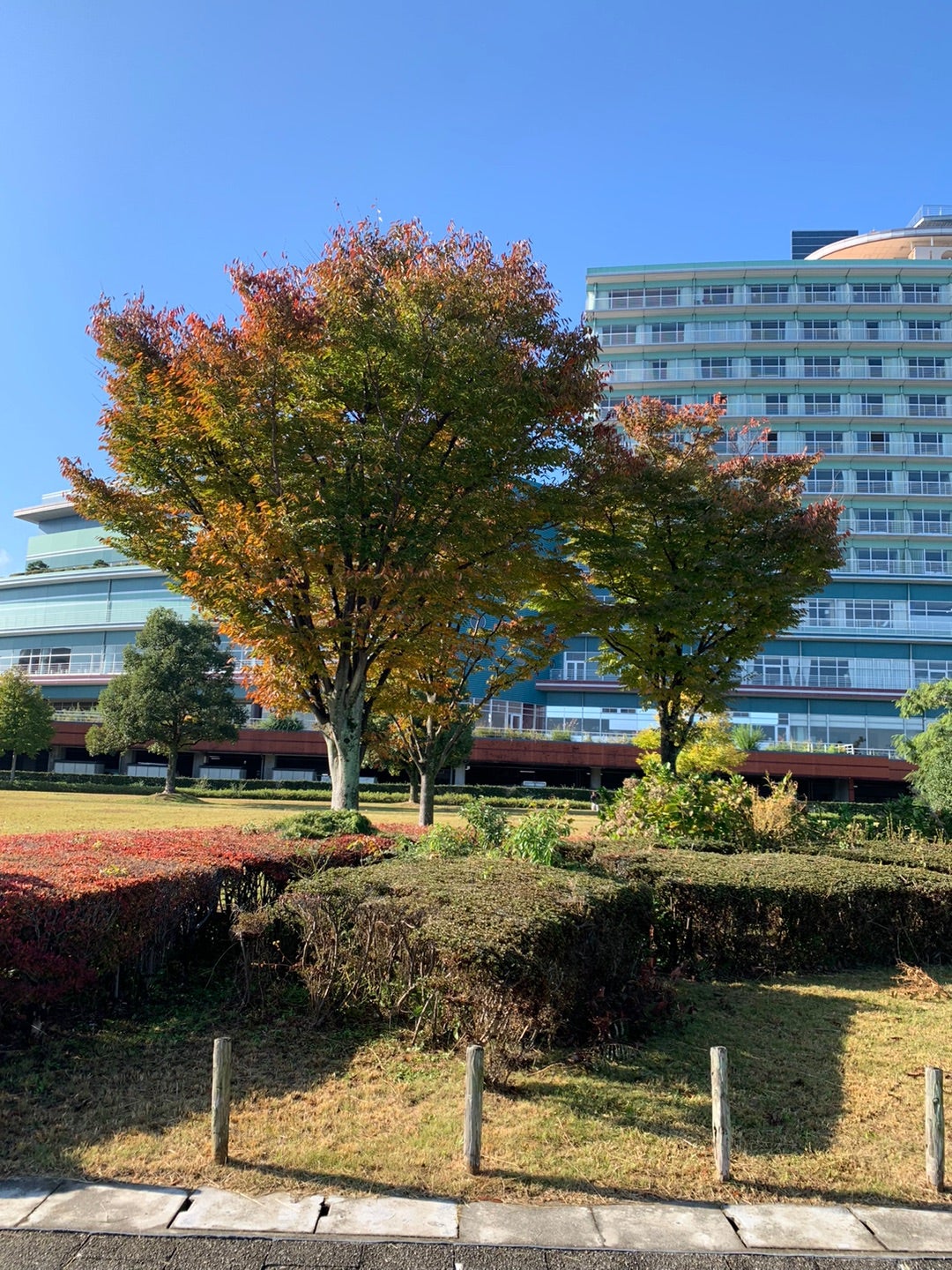 石山寺周辺に近いおすすめホテル・旅館 - 宿泊予約は[一休.com]