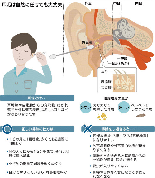 耳掃除について | にしはら耳鼻咽喉科