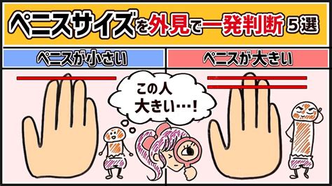 チンコの平均サイズ日本人はどのくらい？女性が喜ぶジャストサイズも公開！ | ペニス増大サプリおすすめランキング