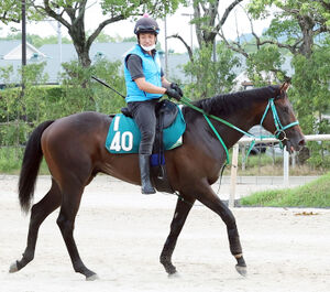 新潟8R＞ハワイアンタイムとレースを制し、笑顔を見せる横山典（中央）（撮影・木村 揚輔）― スポニチ Sponichi