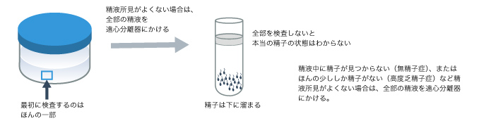 電車でまさか精子かけられた⁈ | 菜の花や