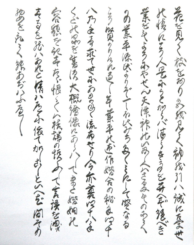 48手 15.菊文字 愛のいとなみ 2nt -