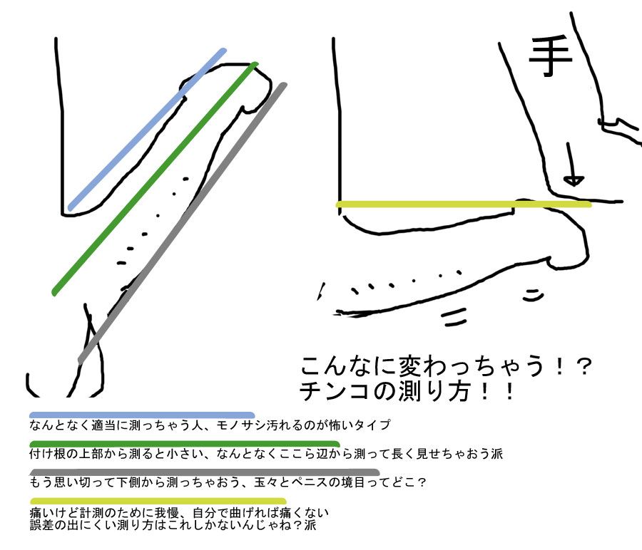 ペニスの大きさ平均は13cm！女性の理想サイズはさらにデカい！？｜薬の通販オンライン