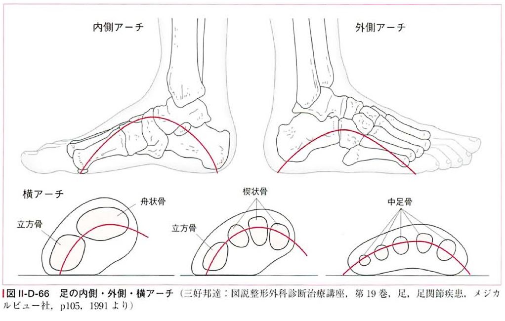 アロママッサージ】西新井駅周辺のおすすめマッサージ店 | エキテン