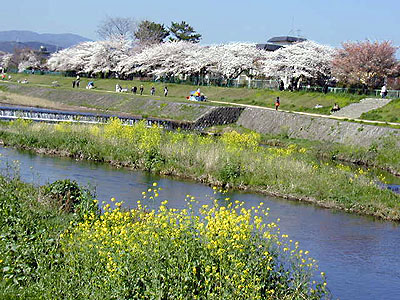 千葉の風俗の特徴！関東屈指のソープ街や西船橋・松戸を調査◎｜ココミル