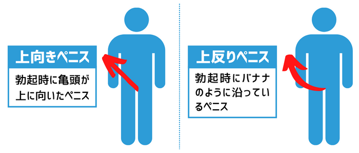 短小包茎とは！短小は何センチから？日本人の平均サイズや治療法 - アトムクリニック -