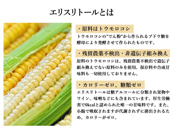 ロハへの飛行機・格安航空券・LCCチケット予約なら｜エクスペディア