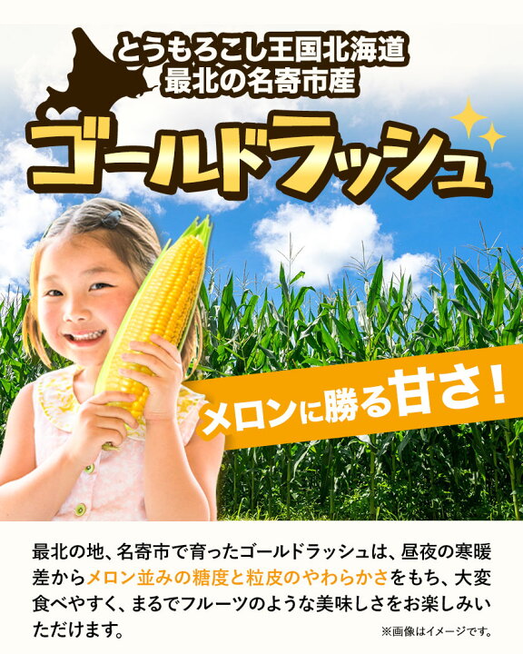 【クーポン利用で30％OFF】熊本県産とうもろこし 10本（ゴールドラッシュ レトルト 真空パック コーン