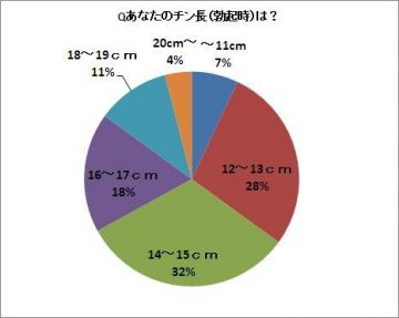 最新 ソフトケージ貞操帯 おとこの娘用