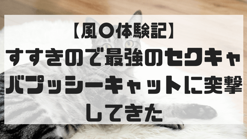 プッシーキャット（プッシーキャット）［すすきの(札幌) 店舗型ヘルス］｜風俗求人【バニラ】で高収入バイト