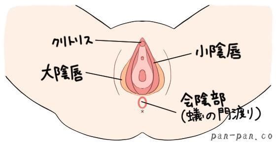 本当に感じる手マン・指マンのやり方とコツ - 夜の保健室