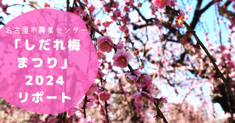 大好評の洋菓子・純喫茶ボンボン商品紹介 - Aton50 個性あふれる商品、コラボレーショングッズ