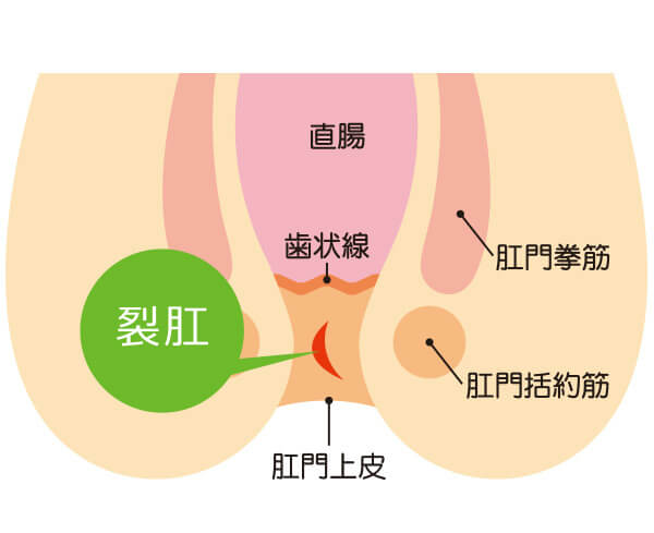 伝説のヤリチンVS鉄壁の尻穴 ドラマCD -