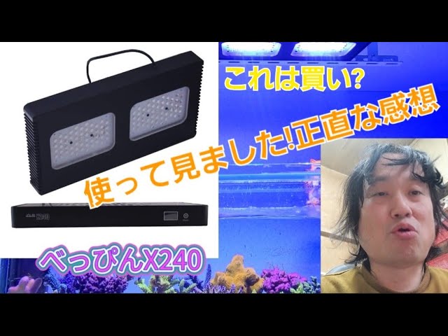 Amazon | 連続テレビ小説