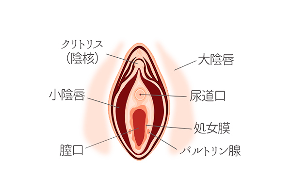 駿河屋 - 【買取】持田そら/バストアップ・上半身裸・両手ぐるぐるキャンディー/2Lサイズ/フェイスマテリアル 2L判ブロマイド 