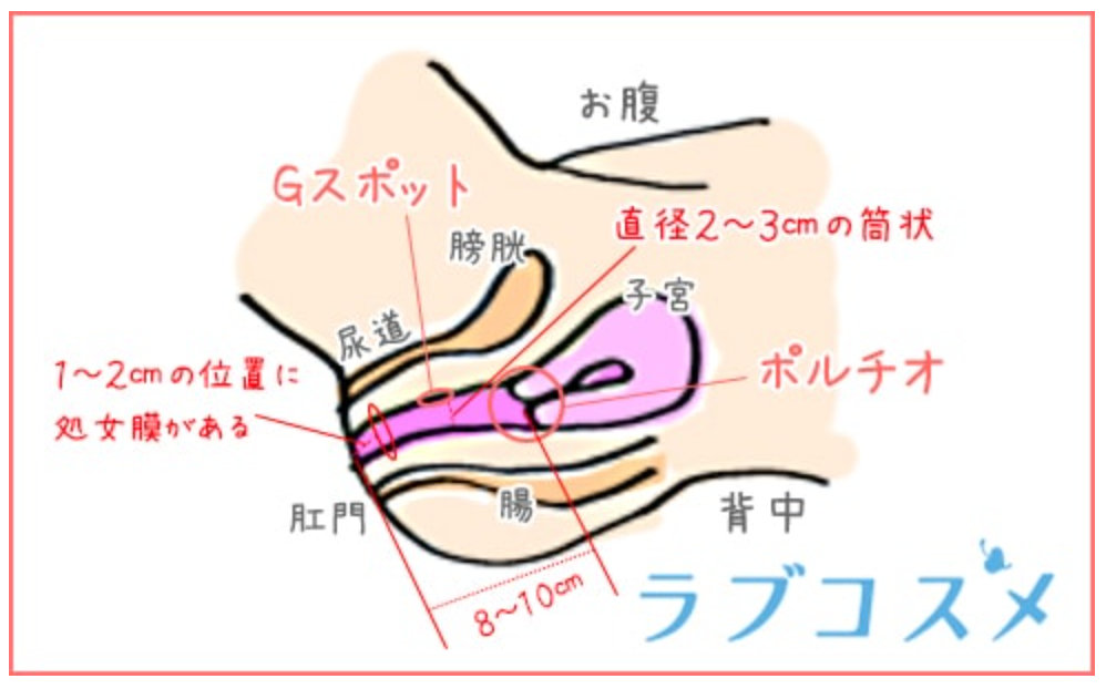 和泉市 葛の葉 もみほぐし ボディケア｜癒し工房