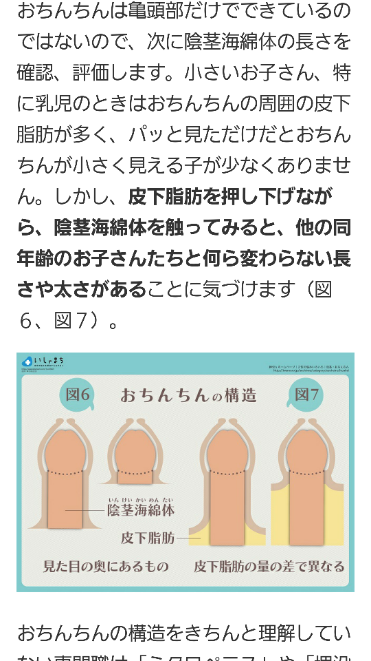 日本人の平均ペニスサイズはこれだ！ 全体の長さ：平均13.56cm 亀頭の直径：平均3.53cm 竿の直径：平均3.19cm 