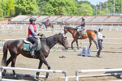 乗馬クラブ クレイン栃木 [下都賀郡野木町/乗馬]【いばナビ】