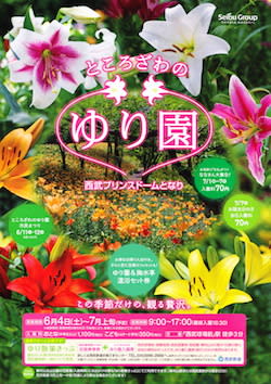 可睡ゆりの園｜3万坪に広がるゆりの競演。静岡県袋井市久能「可睡ゆりの園」