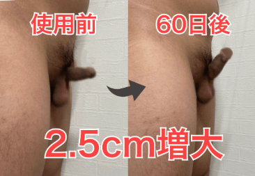 ペニスの大きさ平均は13cm！女性の理想サイズはさらにデカい！？｜薬の通販オンライン