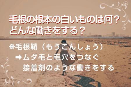 青髭VS毛抜き。抜いても勝てないヒゲの自己処理リスク | 医療脱毛のジュエルクリニック恵比寿【公式】