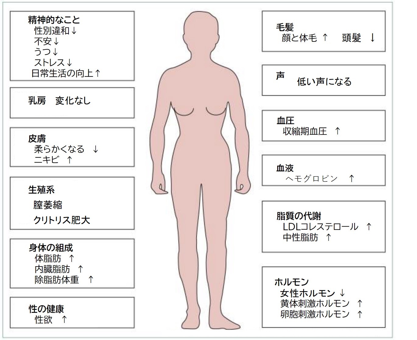 Amazon | 【はじめての人は是非！】Laphwing すうやつ