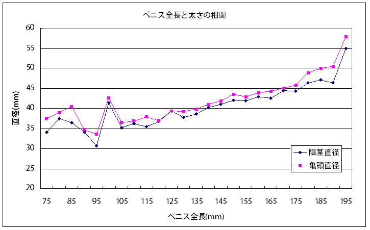 ペニスのサイズはどれくらい？TENGA社内で測ってみた - TENGAヘルスケア プロダクトサイト