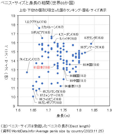 ペニスの大きさは平均どれくらい？日本人のペニスサイズや測り方、小さい原因を解説 | 包茎手術のノーストクリニック【公式】