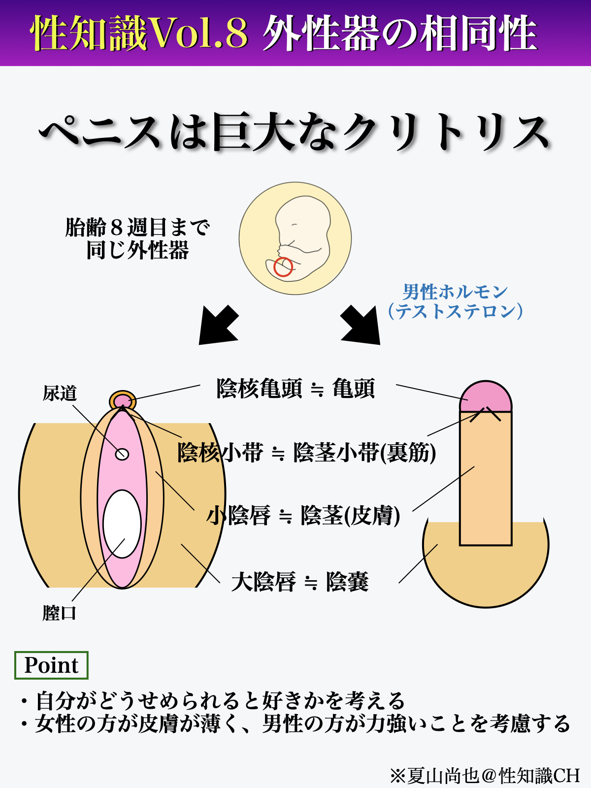 コミック】絶倫陸奥くんは大きいクリが好き(3) 褐色男子に溺愛されっぱなし |