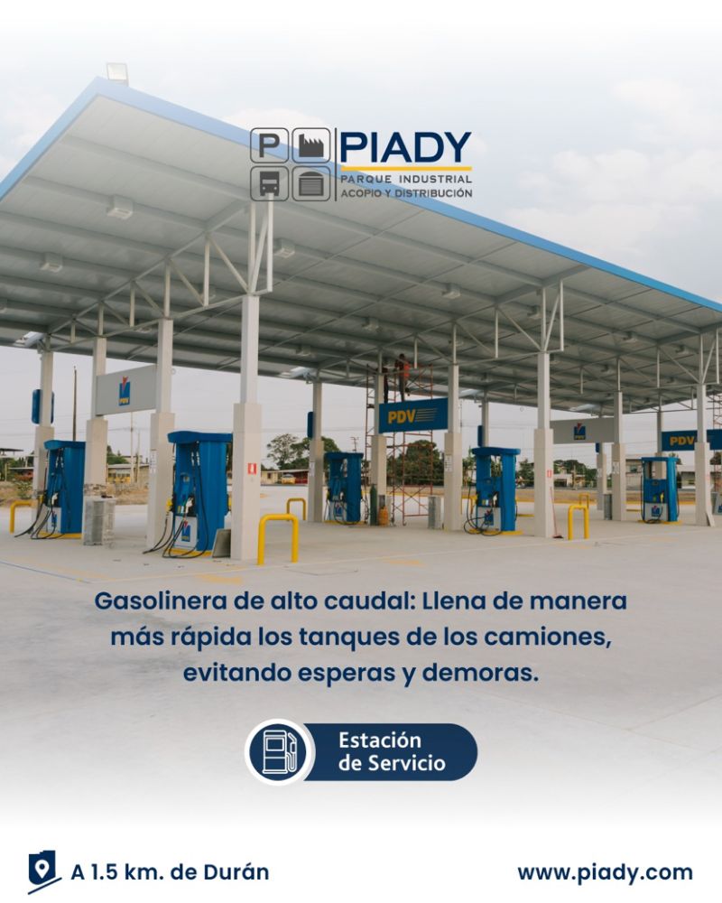 Contenido | PIADY