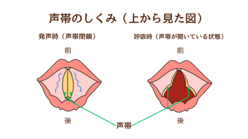 喉輪締めってこれで合ってる？？ #かわいい #友達