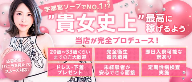 宇都宮のガチで稼げるソープ求人まとめ【栃木】 | ザウパー風俗求人