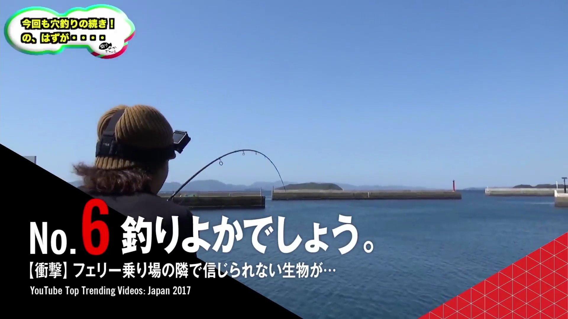 長谷川樹衣 腹黒御曹司の蜜愛妻になりましたが離婚します！