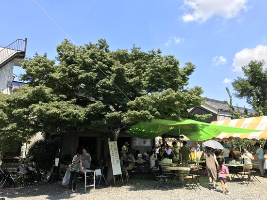 初めての方へ | 武蔵小山の女性に支持される整体院｜鍼林浴（しんりんよく）