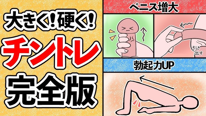 ペニス増大チントレ法１７種！理論的完全マニュアル版【イラスト図解】 | セクテクサイト