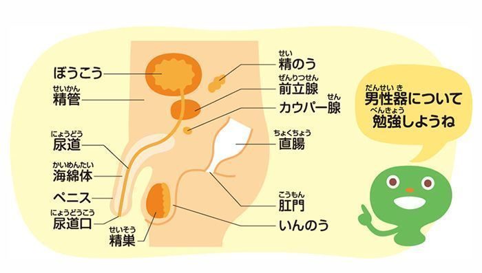 夢精とは何なのか｜ジョニーみうら