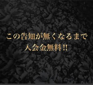 柏 if（イフ）」千葉県・柏のハプニングバーの口コミや評判 | もぐにんのハプバーブログ