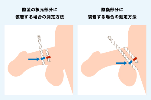 綺麗なちんこの条件はカリ高で軽く上反り | 男性生殖器マニア