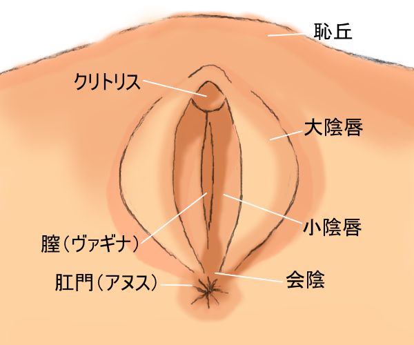 完全攻略】女の子が「本当に気持ちいい」と感じる手マンのコツとやり方│【風俗求人】デリヘルの高収入求人や風俗コラムなど総合情報サイト |  デリ活～マッチングデリヘル～