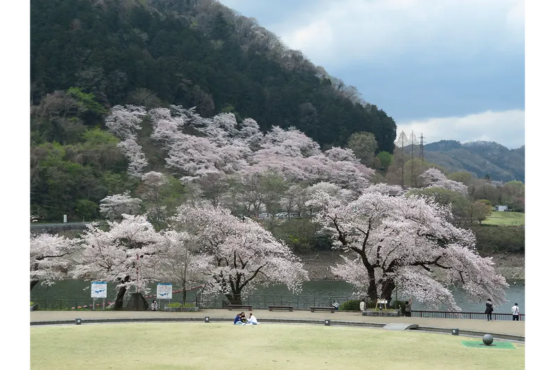 津久井湖パールホテル（相模原市緑区/ホテル）の地図｜地図マピオン