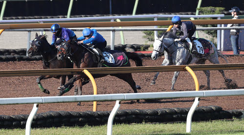 エリザベス女王杯】ルージュエヴァイユ、イン突き２着 松山騎手「勝ち馬の後ろでしっかり脚がたまった」｜競馬ニュース｜競馬予想のウマニティ